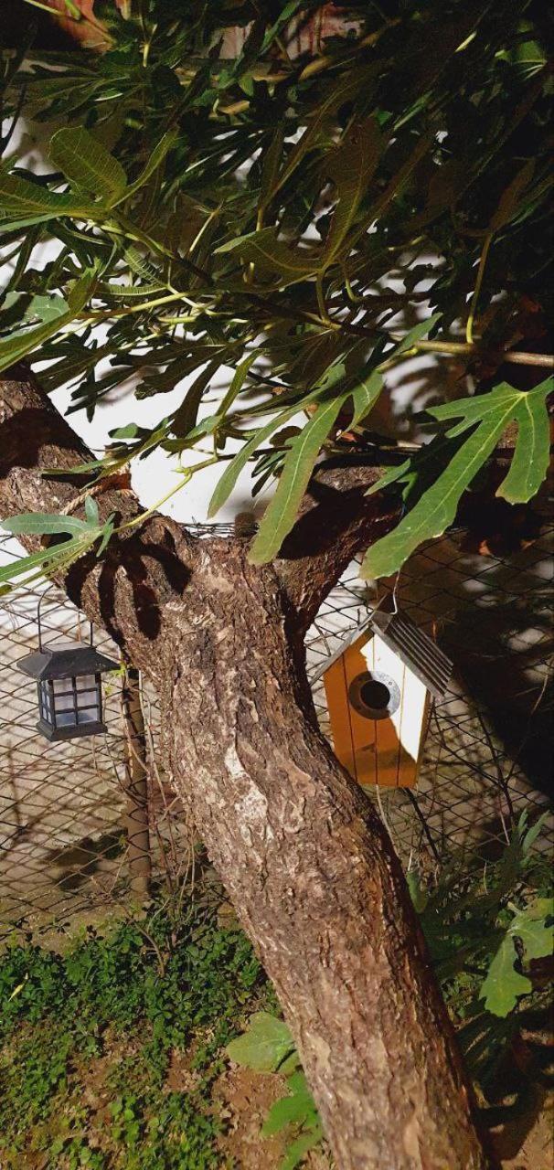Tobislavac Zg Διαμέρισμα Ζάγκρεμπ Εξωτερικό φωτογραφία